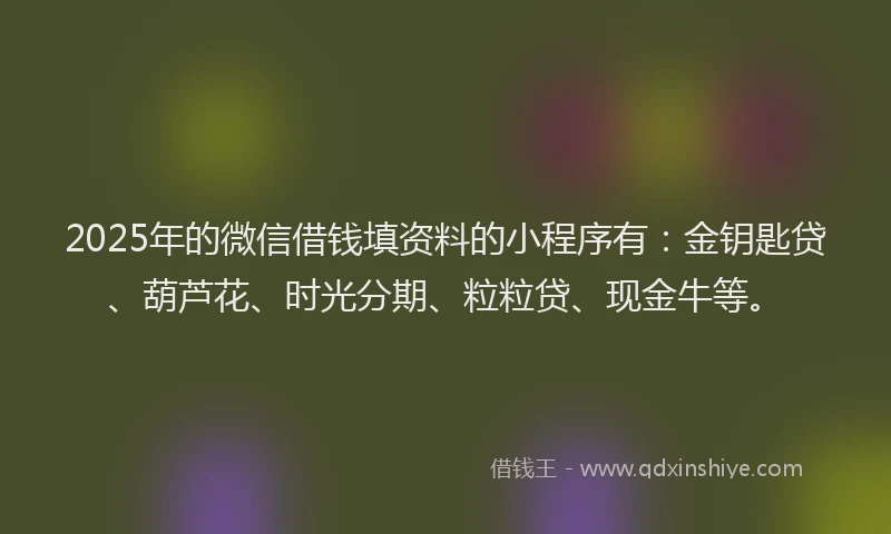 2025年的微信借钱填资料的小程序有：金钥匙贷、葫芦花、时光分期、粒粒贷、现金牛等。