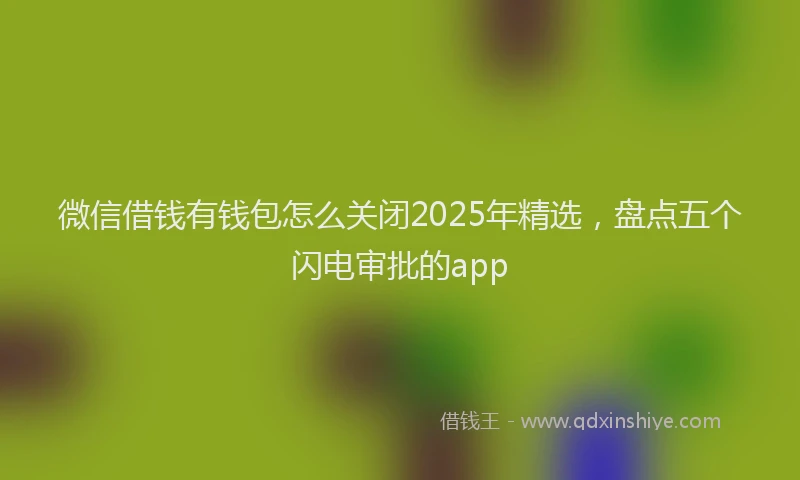 微信借钱有钱包怎么关闭2025年精选，盘点五个闪电审批的app