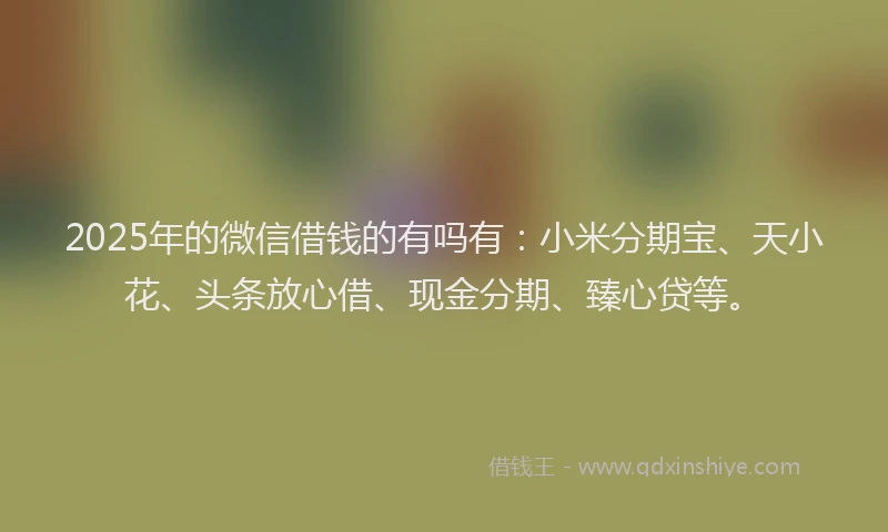 2025年的微信借钱的有吗有：小米分期宝、天小花、头条放心借、现金分期、臻心贷等。