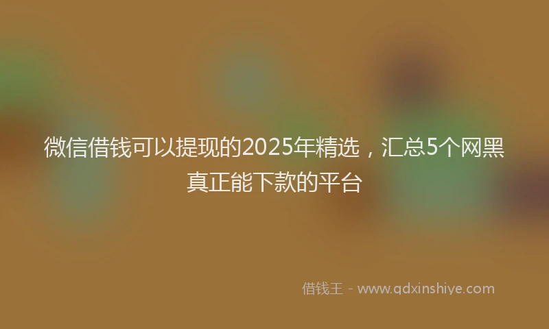 微信借钱可以提现的2025年精选，汇总5个网黑真正能下款的平台