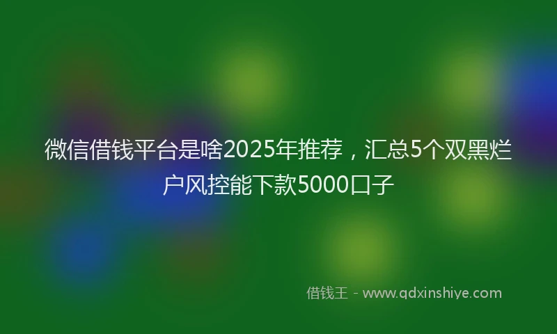 微信借钱平台是啥2025年推荐，汇总5个双黑烂户风控能下款5000口子
