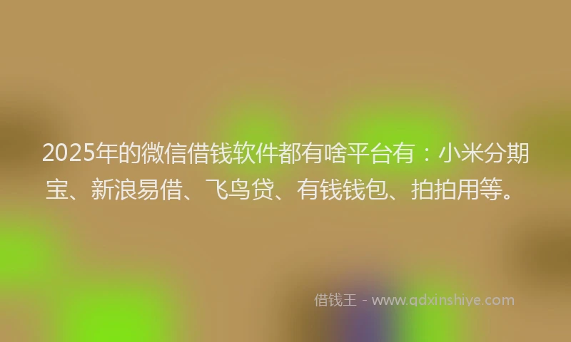 2025年的微信借钱软件都有啥平台有：小米分期宝、新浪易借、飞鸟贷、有钱钱包、拍拍用等。