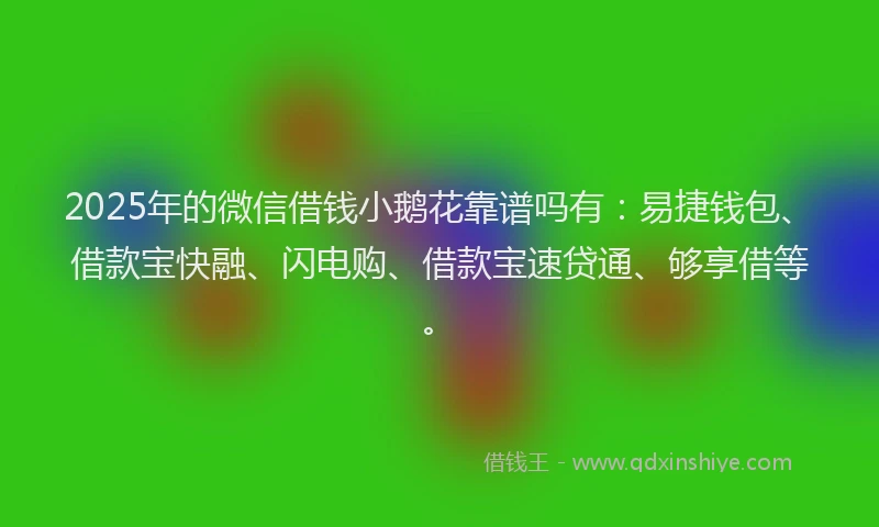 2025年的微信借钱小鹅花靠谱吗有：易捷钱包、借款宝快融、闪电购、借款宝速贷通、够享借等。