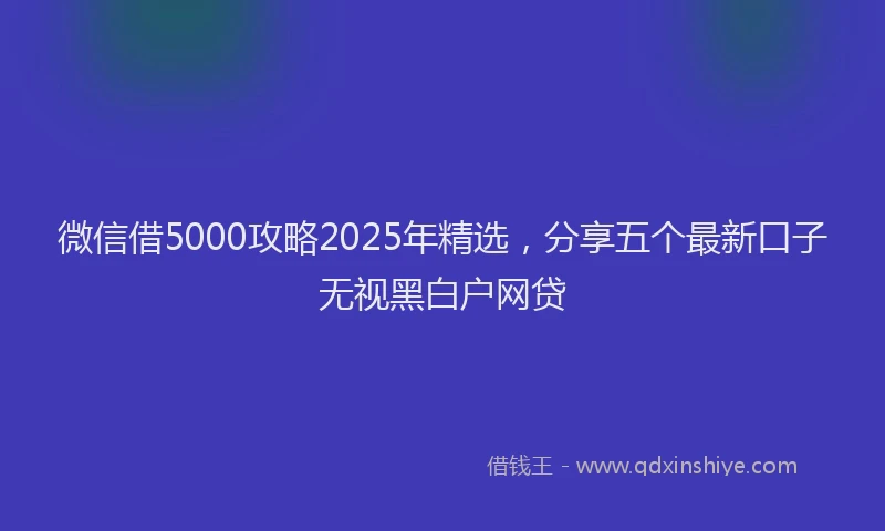 微信借5000攻略2025年精选，分享五个最新口子无视黑白户网贷