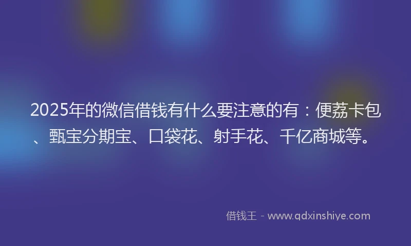 2025年的微信借钱有什么要注意的有：便荔卡包、甄宝分期宝、口袋花、射手花、千亿商城等。