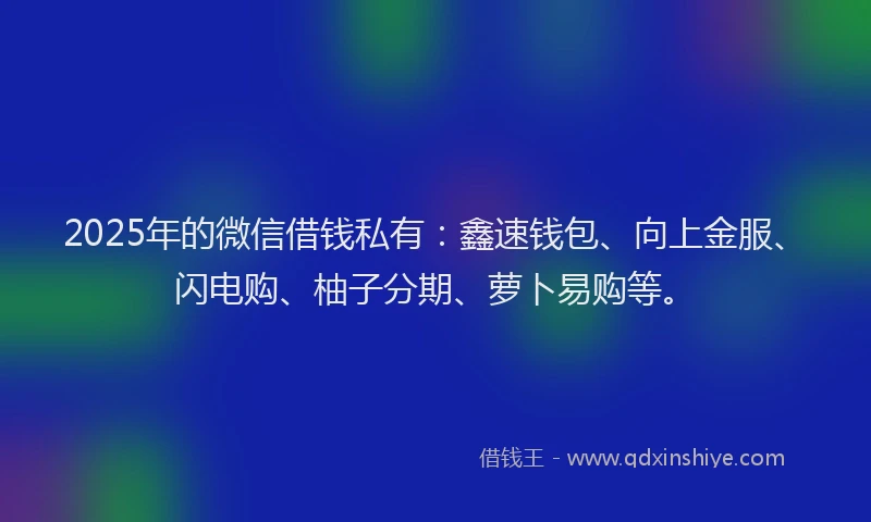 2025年的微信借钱私有：鑫速钱包、向上金服、闪电购、柚子分期、萝卜易购等。