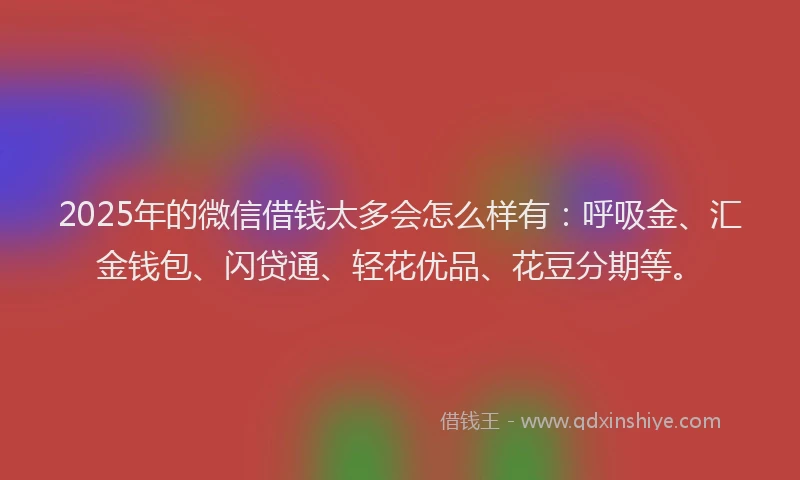 2025年的微信借钱太多会怎么样有：呼吸金、汇金钱包、闪贷通、轻花优品、花豆分期等。