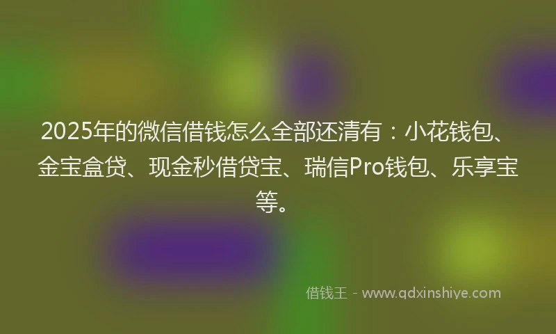 2025年的微信借钱怎么全部还清有：小花钱包、金宝盒贷、现金秒借贷宝、瑞信Pro钱包、乐享宝等。