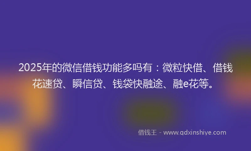 2025年的微信借钱功能多吗有：微粒快借、借钱花速贷、瞬信贷、钱袋快融途、融e花等。
