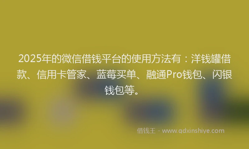2025年的微信借钱平台的使用方法有：洋钱罐借款、信用卡管家、蓝莓买单、融通Pro钱包、闪银钱包等。
