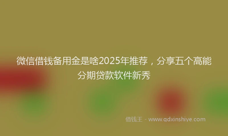 微信借钱备用金是啥2025年推荐，分享五个高能分期贷款软件新秀