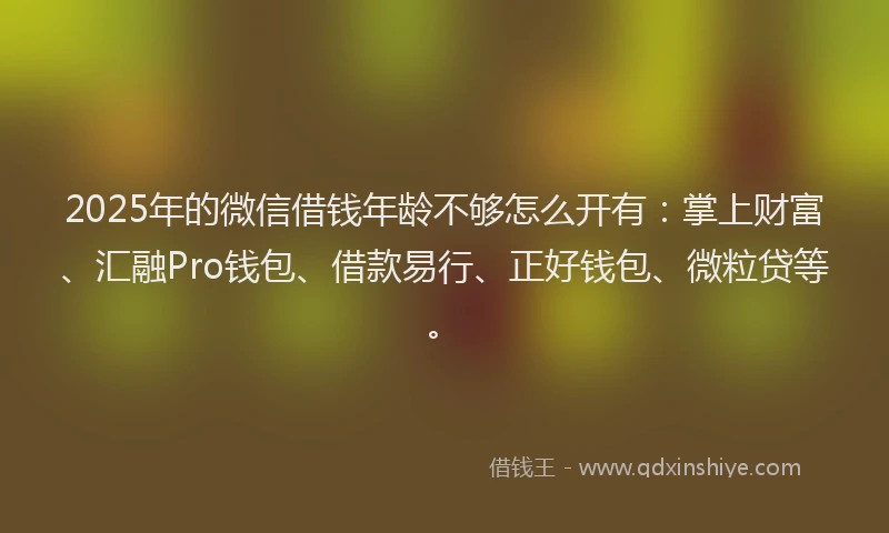 2025年的微信借钱年龄不够怎么开有：掌上财富、汇融Pro钱包、借款易行、正好钱包、微粒贷等。