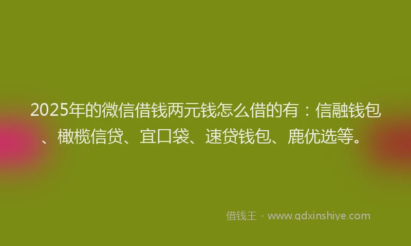 2025年的微信借钱两元钱怎么借的有：信融钱包、橄榄信贷、宜口袋、速贷钱包、鹿优选等。