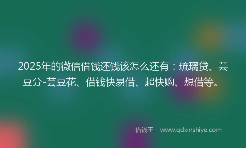 2025年的微信借钱还钱该怎么还有：琉璃贷、芸豆分-芸豆花、借钱快易借、超快购、想借等。