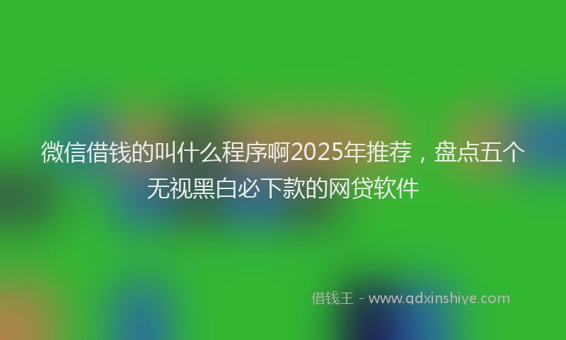 微信借钱的叫什么程序啊2025年推荐，盘点五个无视黑白必下款的网贷软件