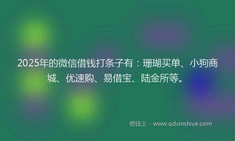 2025年的微信借钱打条子有：珊瑚买单、小狗商城、优速购、易借宝、陆金所等。