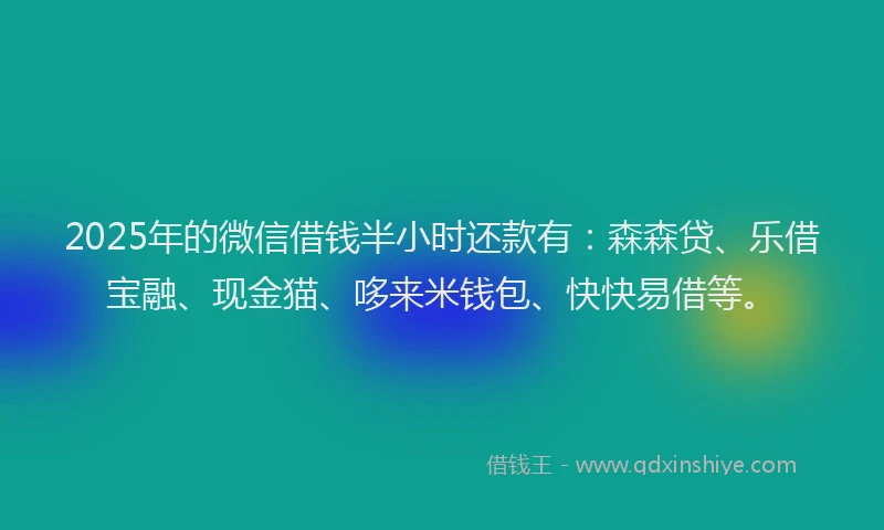 2025年的微信借钱半小时还款有：森森贷、乐借宝融、现金猫、哆来米钱包、快快易借等。
