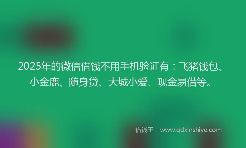 2025年的微信借钱不用手机验证有：飞猪钱包、小金鹿、随身贷、大城小爱、现金易借等。