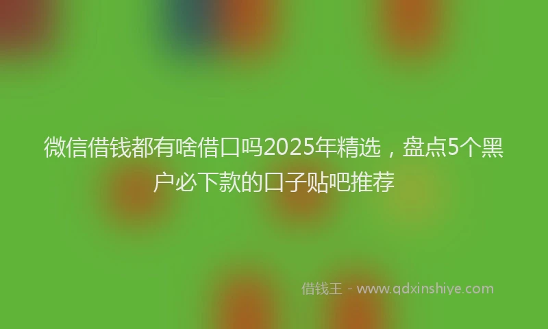 微信借钱都有啥借口吗2025年精选，盘点5个黑户必下款的口子贴吧推荐