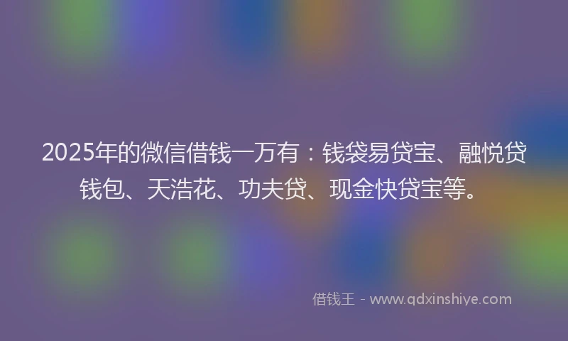 2025年的微信借钱一万有：钱袋易贷宝、融悦贷钱包、天浩花、功夫贷、现金快贷宝等。