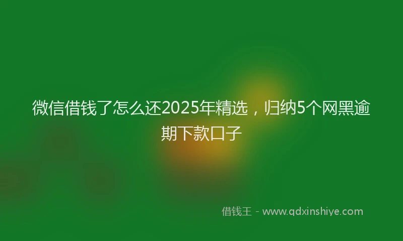 微信借钱了怎么还2025年精选，归纳5个网黑逾期下款口子