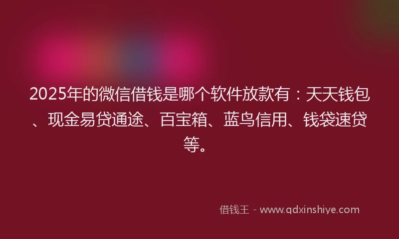 2025年的微信借钱是哪个软件放款有：天天钱包、现金易贷通途、百宝箱、蓝鸟信用、钱袋速贷等。