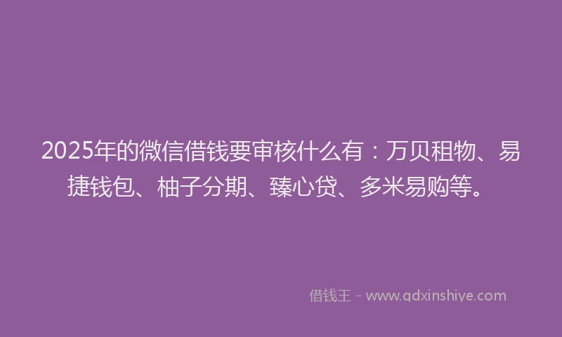2025年的微信借钱要审核什么有：万贝租物、易捷钱包、柚子分期、臻心贷、多米易购等。