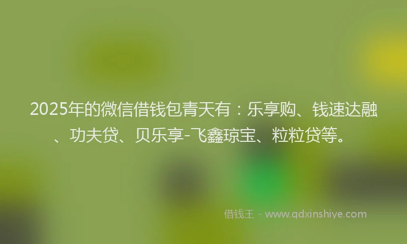 2025年的微信借钱包青天有：乐享购、钱速达融、功夫贷、贝乐享-飞鑫琼宝、粒粒贷等。