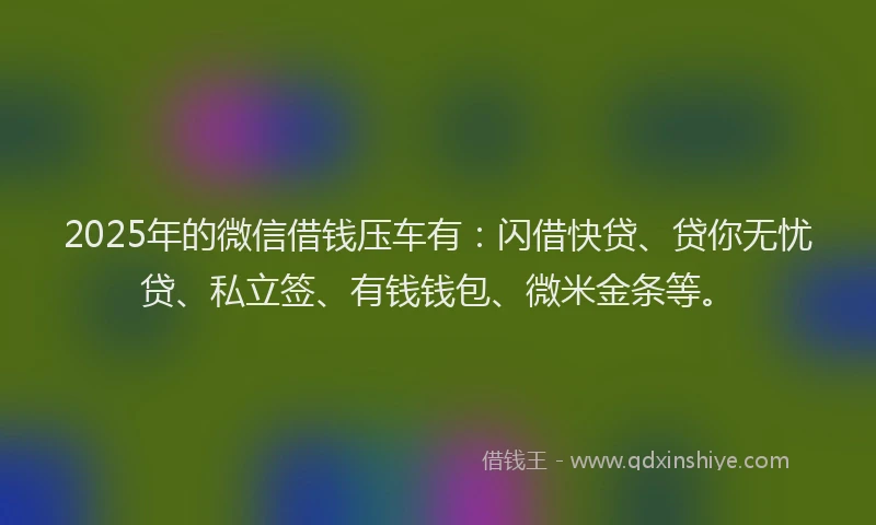 2025年的微信借钱压车有：闪借快贷、贷你无忧贷、私立签、有钱钱包、微米金条等。
