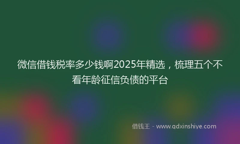微信借钱税率多少钱啊2025年精选，梳理五个不看年龄征信负债的平台