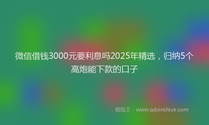 微信借钱3000元要利息吗2025年精选，归纳5个高炮能下款的口子