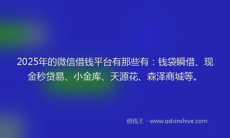 2025年的微信借钱平台有那些有：钱袋瞬借、现金秒贷易、小金库、天源花、森泽商城等。