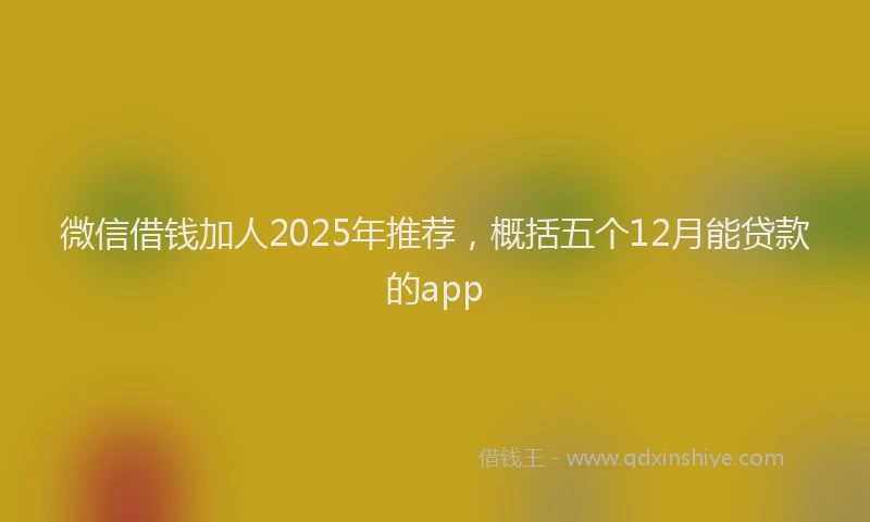 微信借钱加人2025年推荐，概括五个12月能贷款的app