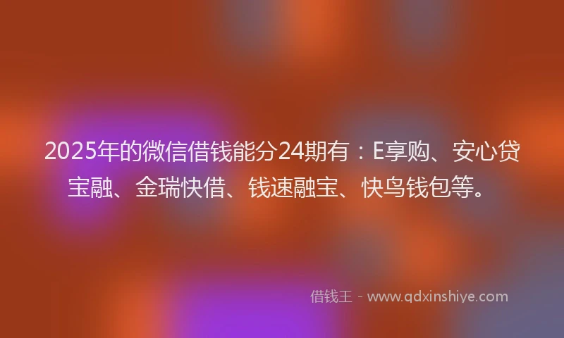 2025年的微信借钱能分24期有：E享购、安心贷宝融、金瑞快借、钱速融宝、快鸟钱包等。