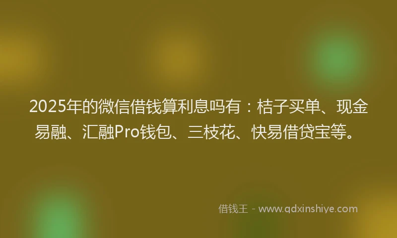 2025年的微信借钱算利息吗有：桔子买单、现金易融、汇融Pro钱包、三枝花、快易借贷宝等。
