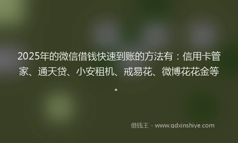 2025年的微信借钱快速到账的方法有：信用卡管家、通天贷、小安租机、戒易花、微博花花金等。
