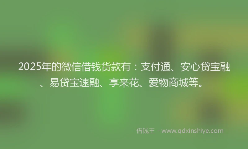 2025年的微信借钱货款有：支付通、安心贷宝融、易贷宝速融、享来花、爱物商城等。