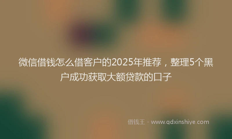 微信借钱怎么借客户的2025年推荐，整理5个黑户成功获取大额贷款的口子