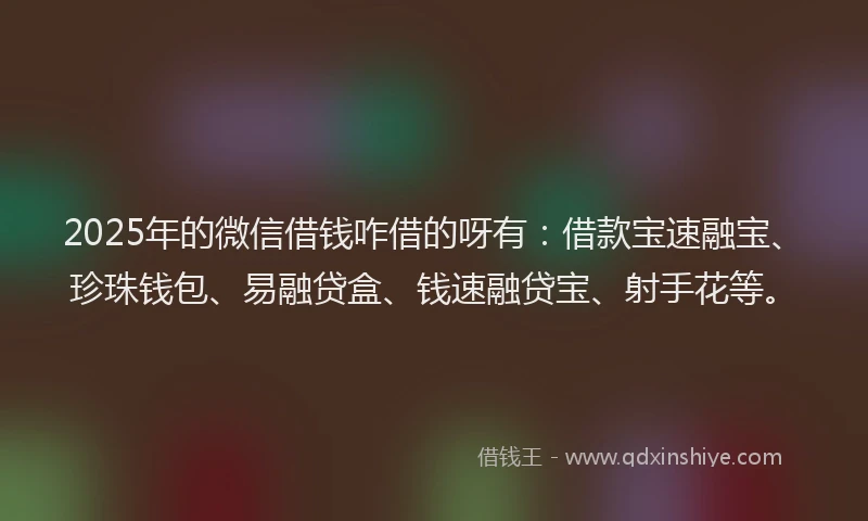 2025年的微信借钱咋借的呀有：借款宝速融宝、珍珠钱包、易融贷盒、钱速融贷宝、射手花等。