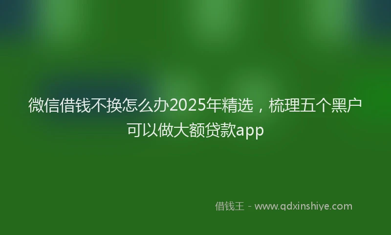 微信借钱不换怎么办2025年精选，梳理五个黑户可以做大额贷款app