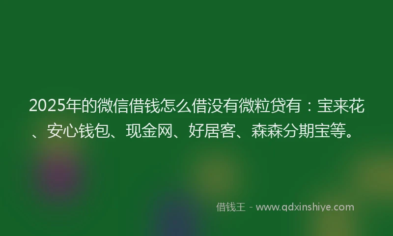 2025年的微信借钱怎么借没有微粒贷有：宝来花、安心钱包、现金网、好居客、森森分期宝等。
