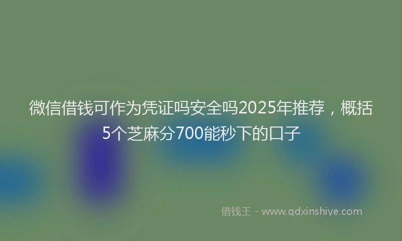 微信借钱可作为凭证吗安全吗2025年推荐，概括5个芝麻分700能秒下的口子