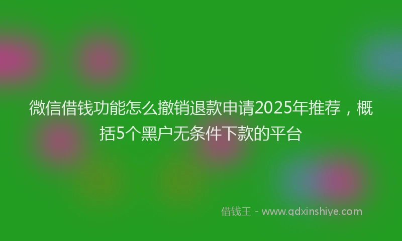 微信借钱功能怎么撤销退款申请2025年推荐，概括5个黑户无条件下款的平台