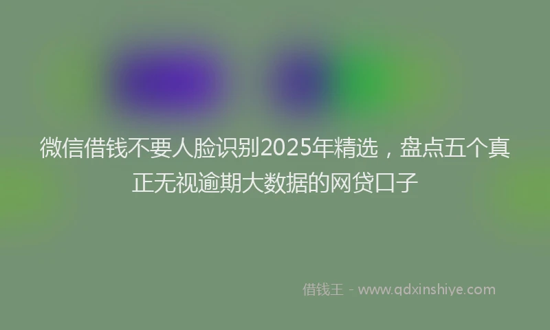 微信借钱不要人脸识别2025年精选，盘点五个真正无视逾期大数据的网贷口子