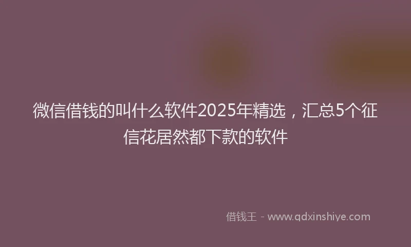微信借钱的叫什么软件2025年精选，汇总5个征信花居然都下款的软件