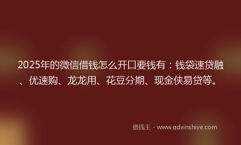 2025年的微信借钱怎么开口要钱有：钱袋速贷融、优速购、龙龙用、花豆分期、现金侠易贷等。