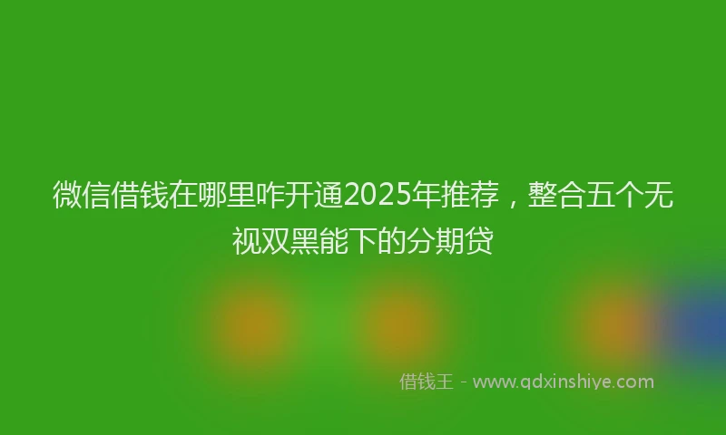 微信借钱在哪里咋开通2025年推荐，整合五个无视双黑能下的分期贷