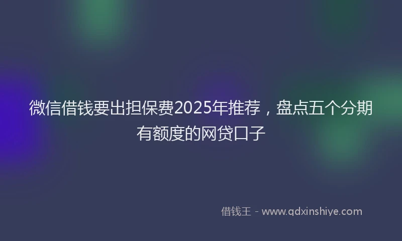 微信借钱要出担保费2025年推荐，盘点五个分期有额度的网贷口子