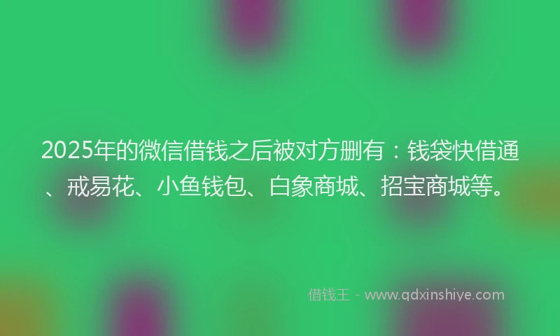 2025年的微信借钱之后被对方删有：钱袋快借通、戒易花、小鱼钱包、白象商城、招宝商城等。