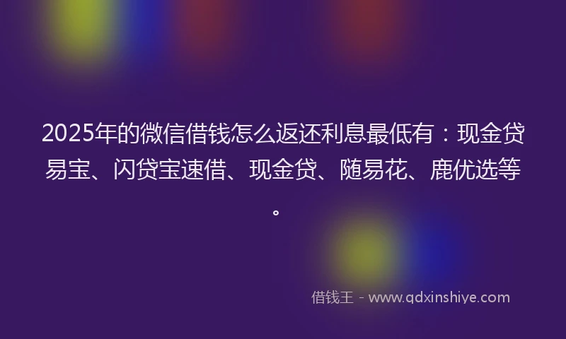 2025年的微信借钱怎么返还利息最低有：现金贷易宝、闪贷宝速借、现金贷、随易花、鹿优选等。